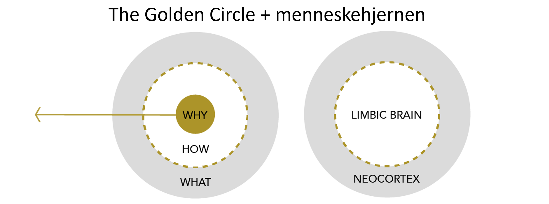 goldencirkle